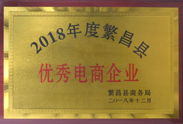 2018-繁昌县-优秀电商企业.jpg